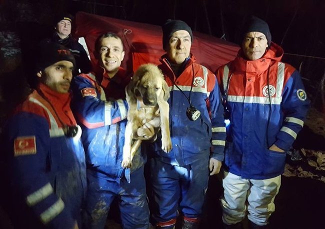 İSTANBUL’DA DÜŞTÜĞÜ KUYUDAN 10 GÜN SÜREN ÇALIŞMANIN ARDINDAN KURTARILAN YAVRU KÖPEĞİ KURTARMA ÇALIŞMALARINA KATILAN TTK EKİPLERİ, O ANLARI ANLATTI. (ONUR ALTINDAĞ - SERTAÇ ÖZDEMİR/ZONGULDAK-İHA)