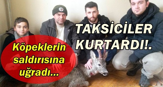 Fedakar taksiciler…