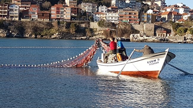 AMASRA'DA KARADENİZ AÇIKLARINDA YUNUSLARIN KOVALADIĞI KEFAL SÜRÜSÜ KÜÇÜK LİMANA SIĞINDI. DURUMU FARK EDEN BALIKÇILAR İSE AĞ İLE SARDIKLARI SÜRÜDEN YAKALADIKLARINI SAHİLDE SATIŞA ÇIKARDI. (HALİL TEKİN/BARTIN-İHA)