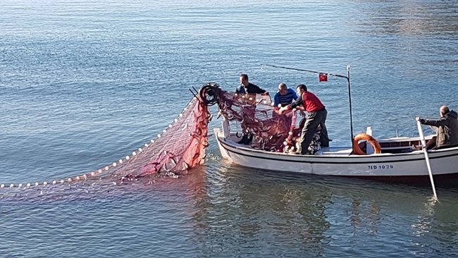 AMASRA'DA KARADENİZ AÇIKLARINDA YUNUSLARIN KOVALADIĞI KEFAL SÜRÜSÜ KÜÇÜK LİMANA SIĞINDI. DURUMU FARK EDEN BALIKÇILAR İSE AĞ İLE SARDIKLARI SÜRÜDEN YAKALADIKLARINI SAHİLDE SATIŞA ÇIKARDI. (HALİL TEKİN/BARTIN-İHA)