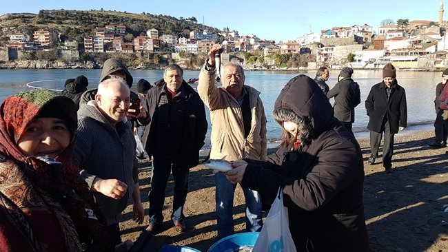 AMASRA'DA KARADENİZ AÇIKLARINDA YUNUSLARIN KOVALADIĞI KEFAL SÜRÜSÜ KÜÇÜK LİMANA SIĞINDI. DURUMU FARK EDEN BALIKÇILAR İSE AĞ İLE SARDIKLARI SÜRÜDEN YAKALADIKLARINI SAHİLDE SATIŞA ÇIKARDI. (HALİL TEKİN/BARTIN-İHA)