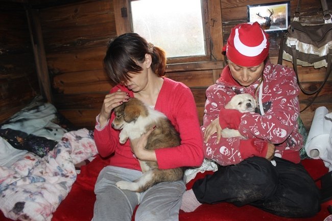 ÇÖPLÜKTE SOKAK HAYVANLARI İÇİN AÇLIK GREVİNE BAŞLADILAR (MUSTAFA KURT/BARTIN-İHA)