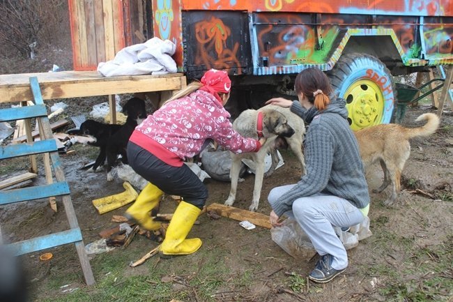 ÇÖPLÜKTE SOKAK HAYVANLARI İÇİN AÇLIK GREVİNE BAŞLADILAR (MUSTAFA KURT/BARTIN-İHA)