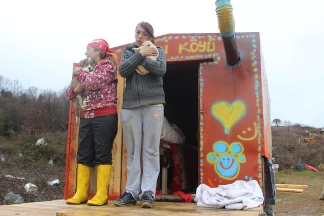 ÇÖPLÜKTE SOKAK HAYVANLARI İÇİN AÇLIK GREVİNE BAŞLADILAR (MUSTAFA KURT/BARTIN-İHA)