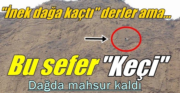 Fıkra gibi olay.! Dağda kurtarma operasyonu