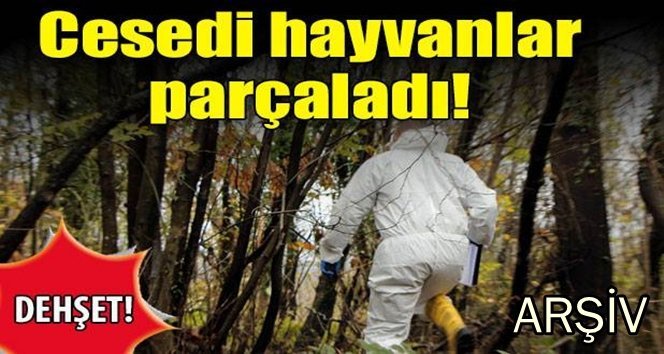 Şok olay.! Parçalanmış halde bulundu