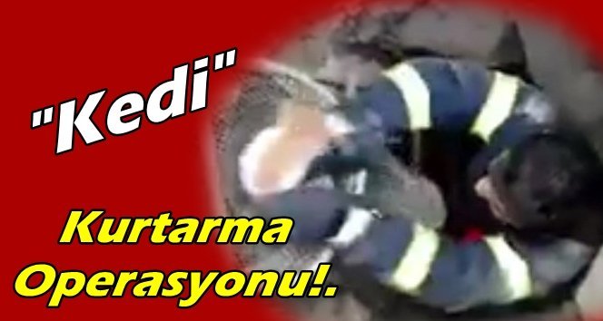 Su kuyusuna düşen kediyi, itfaiye kurtardı