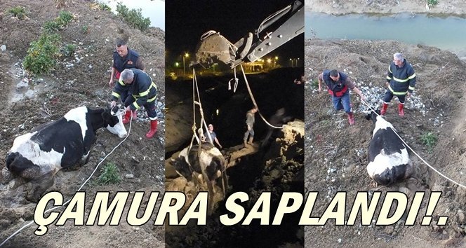 Çamura saplandı, itfaiye kurtardı