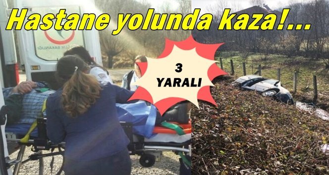 Yoldan çıkarak dereye uçtu