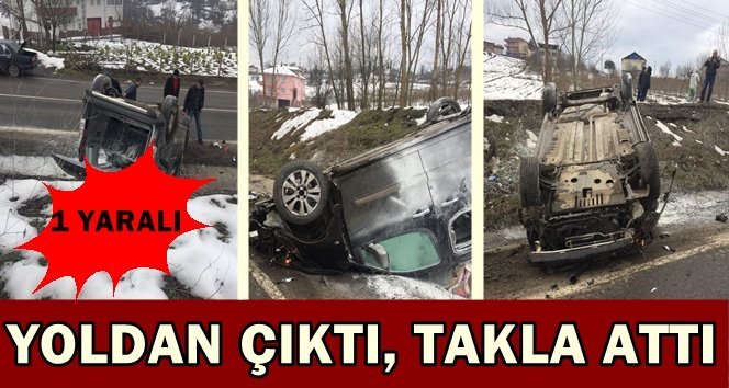 Direksiyon hakimiyetini kaybetti, yoldan çıktı