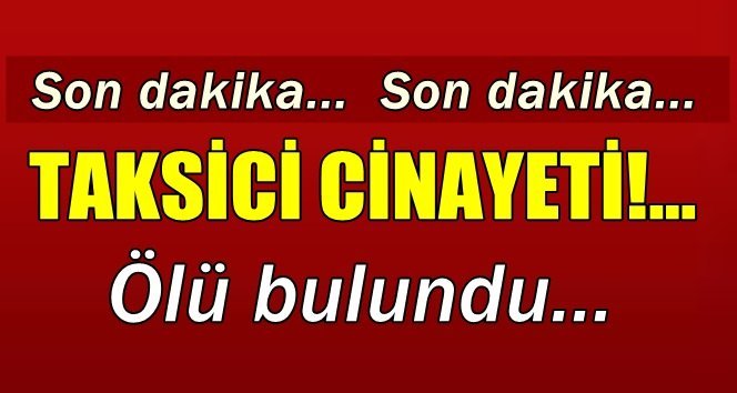 Yol kenarında ölü bulundu…