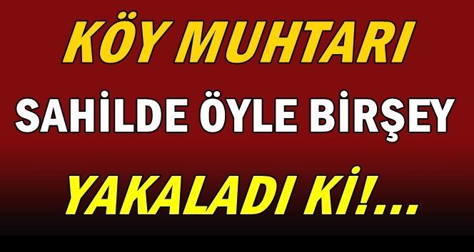 Sahilde yakaladı, 600 liraya sattı