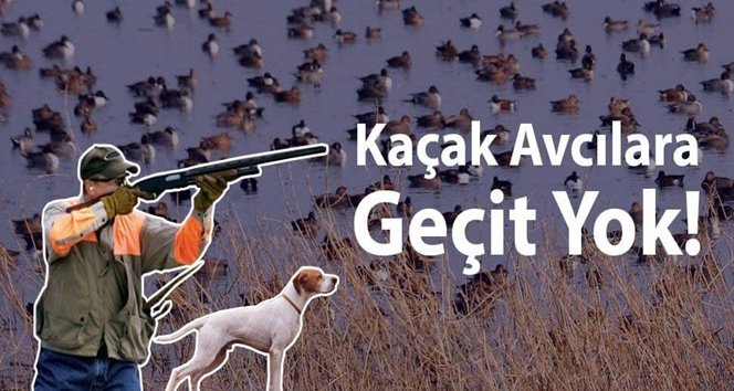 Avcılara ceza yağdı