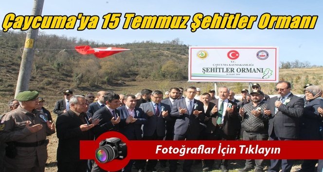 Çaycuma’da 15 Temmuz Şehitleri anısına fidan dikildi