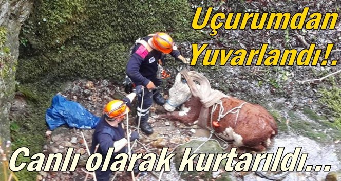 Kurtarma operasyonu!.