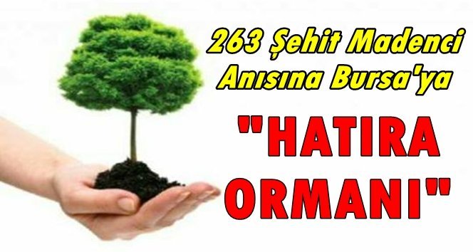 Bursa Kareelmas Batı Karadenizliler Derneği’nden anlamlı etkinlik