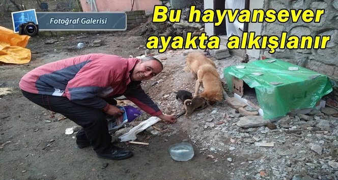 Türkalili vatandaş köpek yavrularına kendi çocuğu gibi bakıyor