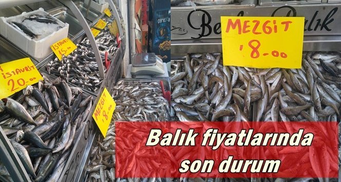 Çaycuma’da balık fiyatlarında son durum