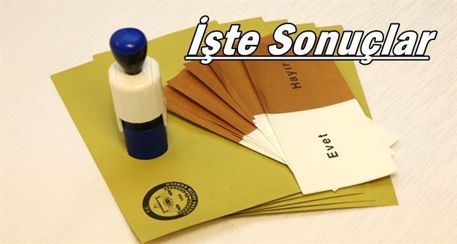 Türkali Referandumda ne dedi? İşte sandık sandık sonuçlar…