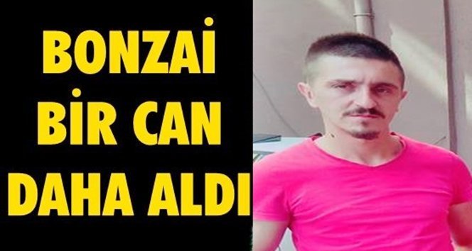 Bonzai Zonguldak’ta can aldı…
