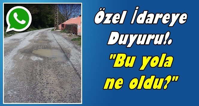 1 hafta önce yapıldı, köstebekler kemirdi