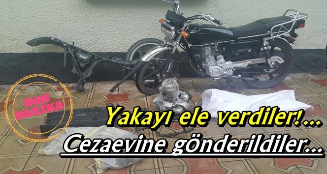 Motorsiklet hırsızları tutuklandı