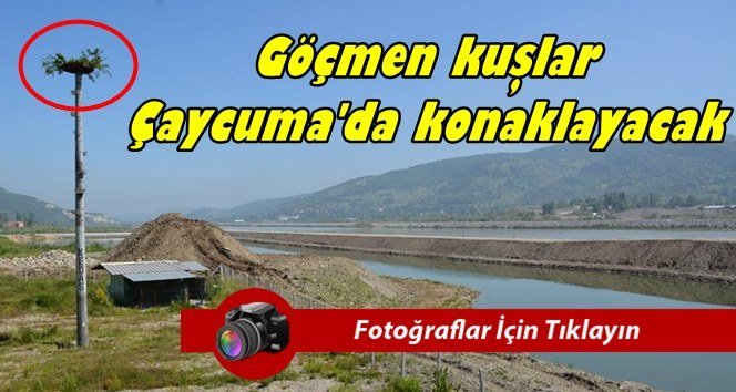 Leyleklere Çaycuma Belediyesi’nden sıcak yuva…