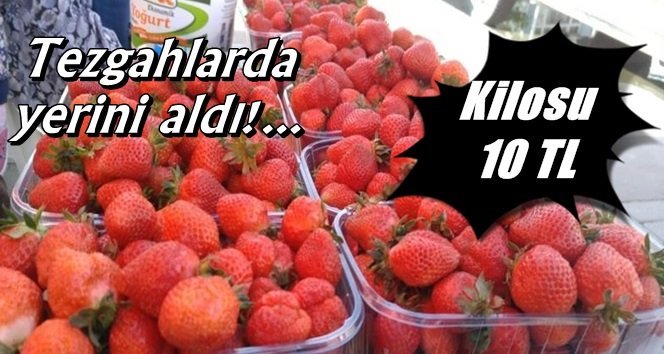 Bartın yerli çilek tezgahlarda…