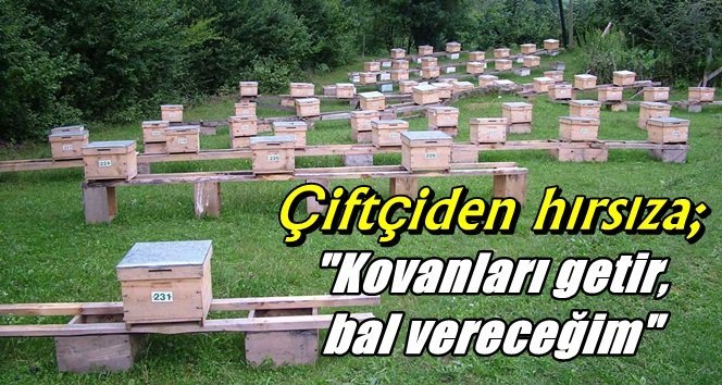 Çaycuma’da arı kovanlarını çalan hırsıza çiftçiden cevap!.