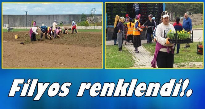 45 bin çiçek toprakla buluştu…