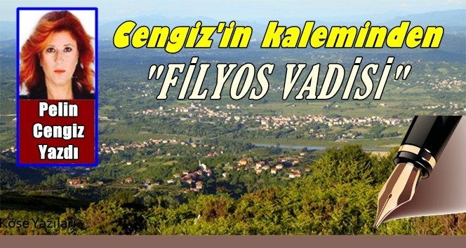 “Filyos Vadisi Termik Santral ağı değildir”