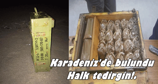 Karadeniz’de kıyıya vurdu…