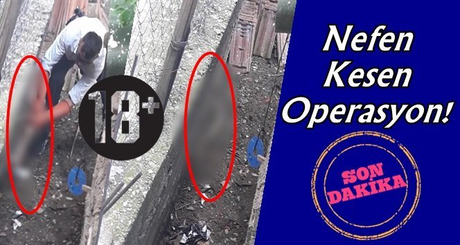 Köylüler korktu!. Operasyon başlatıldı…