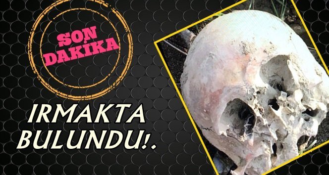 İnsan kafatası bulundu…