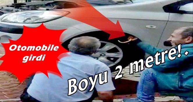 Otomobile öyle bir şey girdi ki…