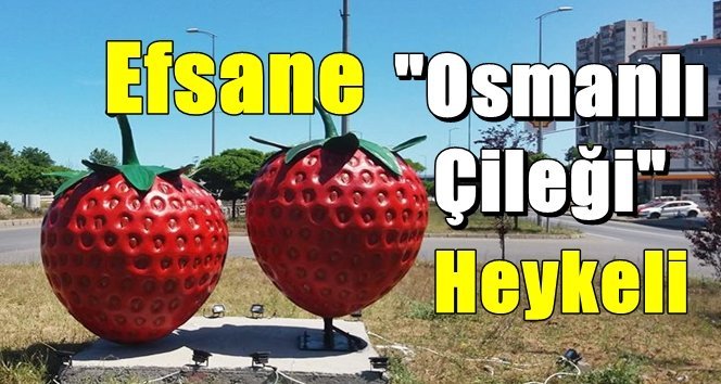 Gülüç beldesine Osmanlı Çileği heykeli