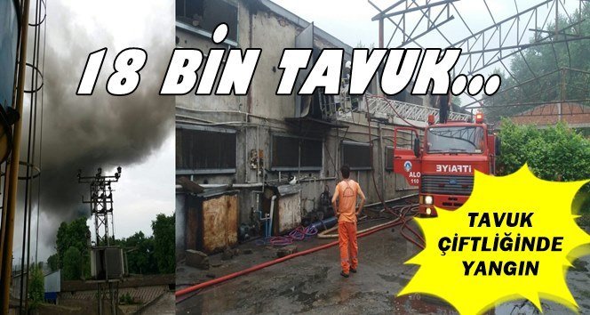 Son dakika…Yangın çıktı!…