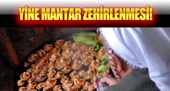 Gökçebey’de zehirlenme…Durumu kritik…