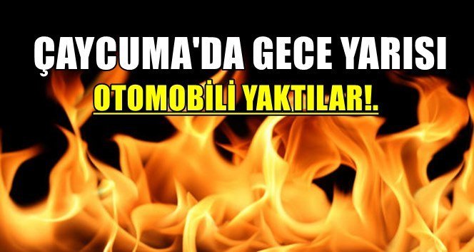 Park halindeki araç yandı!.