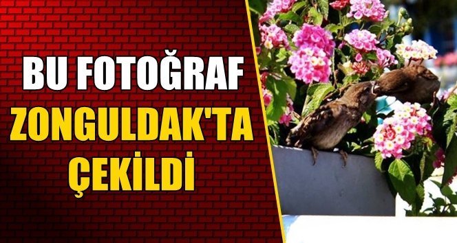 Yaşamak için anne fedakarlığı!.