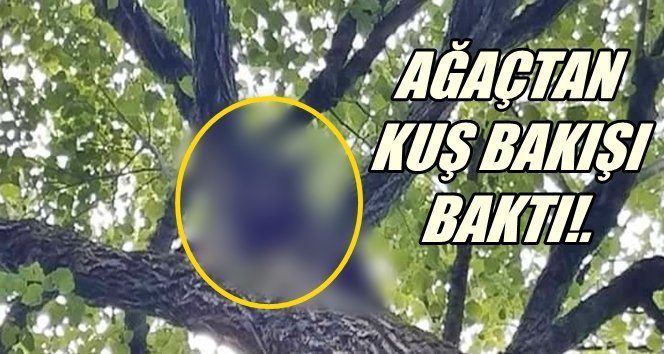 Bir anda görünce ne yapacağını şaşırdı! İşte o anlar…