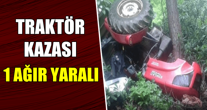 Tomruk taşırken devrildi…