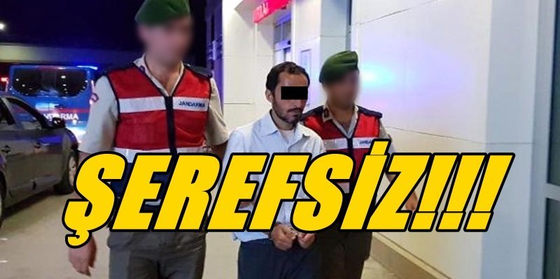 Yolcu otobüsünden Türk Bayrağını indirmek istedi!.