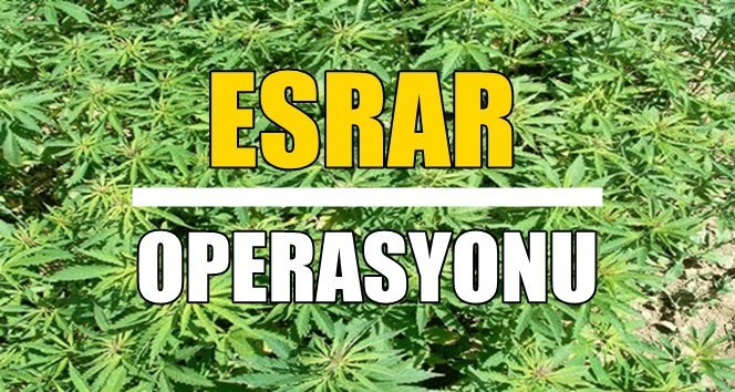 Jandarma’dan operasyon!.