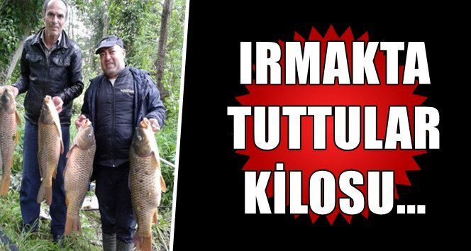 Oltaya süt mısırı taktılar, büyük balığı yakaladılar