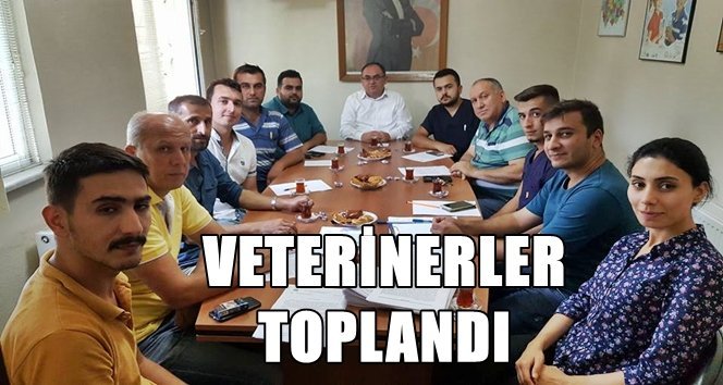 Çaycuma’da serbest veterinerler toplandı