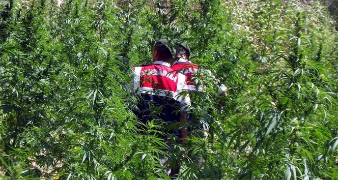 Uyuşturucu operasyonu…