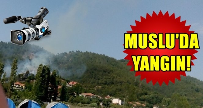 Anız yakarken ormanı yaktı!. İşte detaylar…