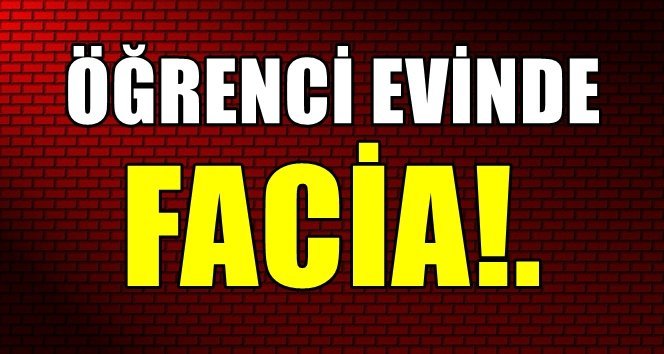 Hamarat erkekler camdan düştü!.