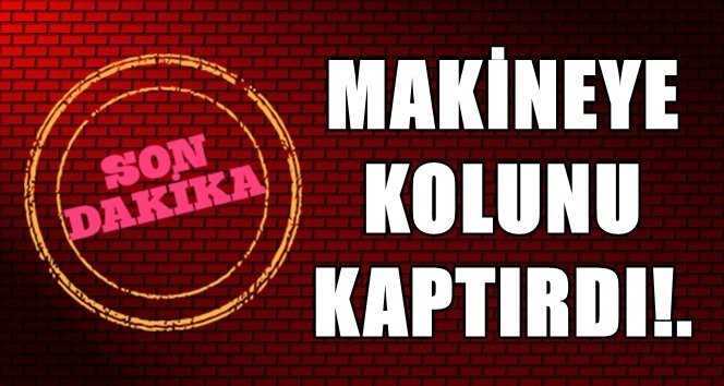 Mısır tarlasında kaza!.